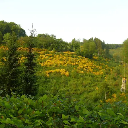 Appartamento In Mit Gemeinschaftsgarten