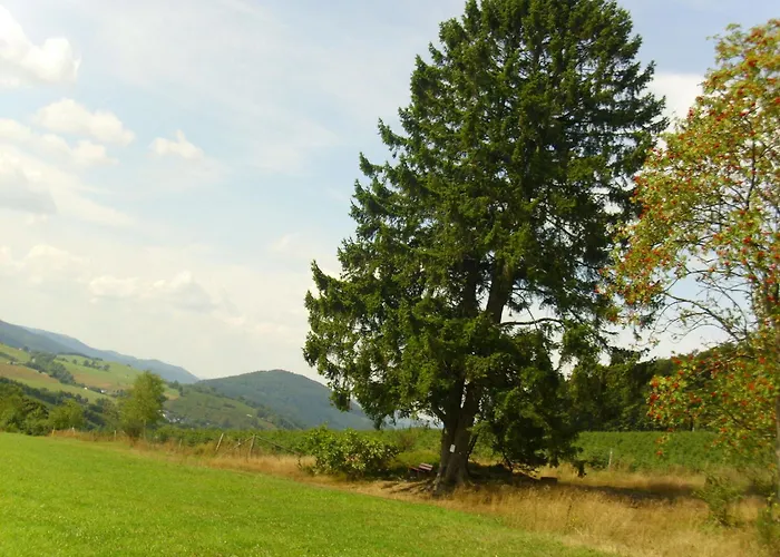 In Mit Gemeinschaftsgarten Appartement Schmallenberg