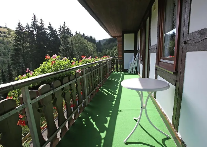 Appartement In Mit Gemeinschaftsgarten Schmallenberg