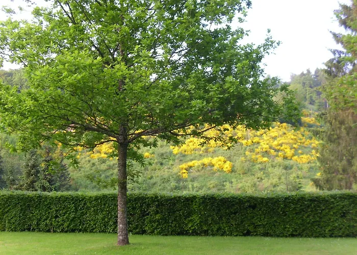 In Mit Gemeinschaftsgarten *