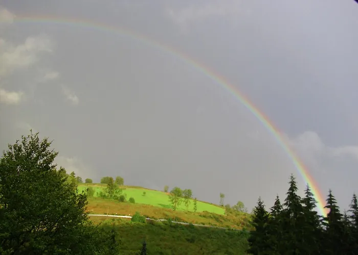 In Mit Gemeinschaftsgarten Appartement *