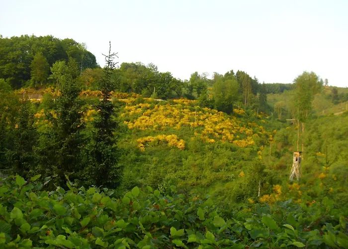 Appartement In Mit Gemeinschaftsgarten